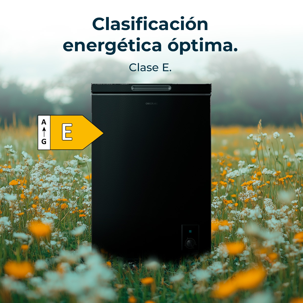 Bolero CoolMarket Chest 99 Black E | Envío gratis y mejor precio garantizado – foto detalle 5